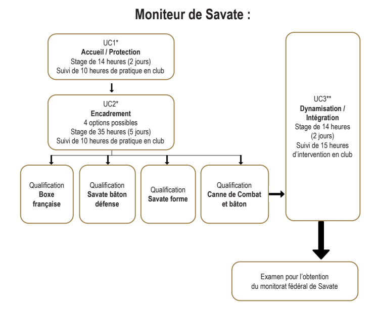 moniteur de savate